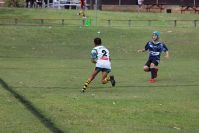 Endeavour Gala Day – U13s – Hunter v Illawarra