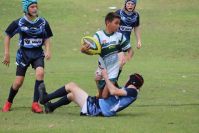 Endeavour Gala Day – U13s – Hunter v Illawarra