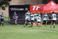 Endeavour Gala Day – U13s – Hunter v Illawarra