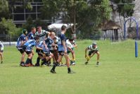 Endeavour Gala Day – U13s – Hunter v Illawarra
