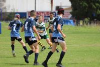 Endeavour Gala Day – U13s – Hunter v Illawarra