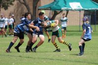 Endeavour Gala Day – U13s – Hunter v Illawarra