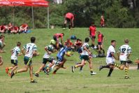 Endeavour Gala Day – U13s – Hunter v Illawarra