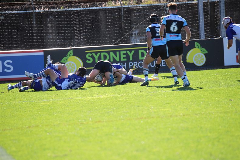 2021 Jersey Flegg Rnd 13 BULLDOGS v SHARKS