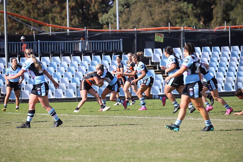 2021 HNWP Rnd 11 SHARKS v WESTSTIGERS
