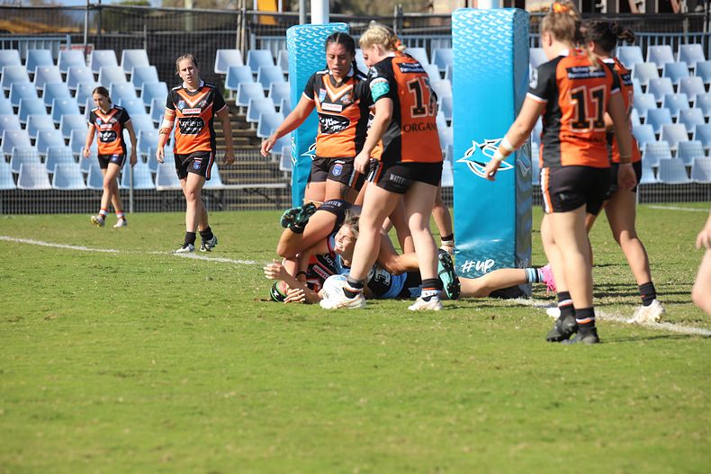 2021 HNWP Rnd 11 SHARKS v WESTSTIGERS
