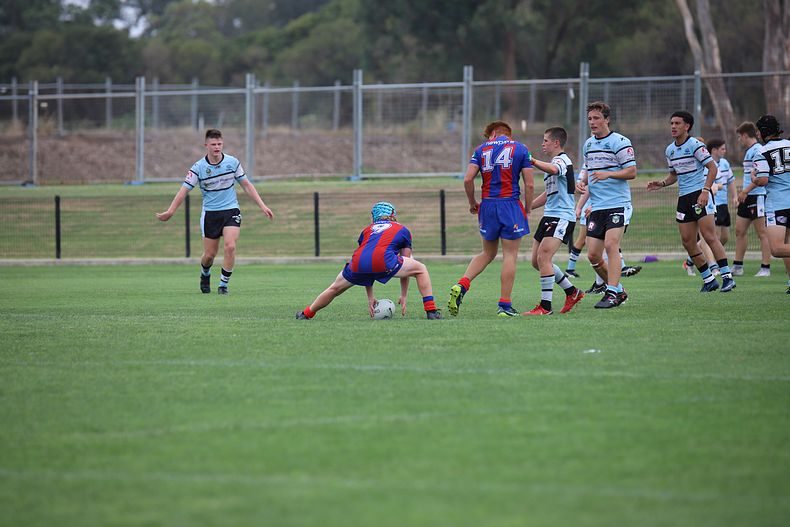 2020 Harold Matthews Cup Trial Knights v Sharks
