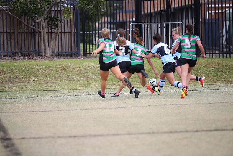 2020 Harvey Norman Women’s Premiership – Rnd 4 – Sharks v Rabbitoh’s