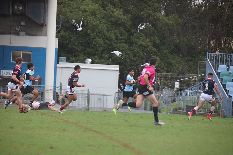 2020 SG Ball Cup – R 6 – Sharks v Roosters
