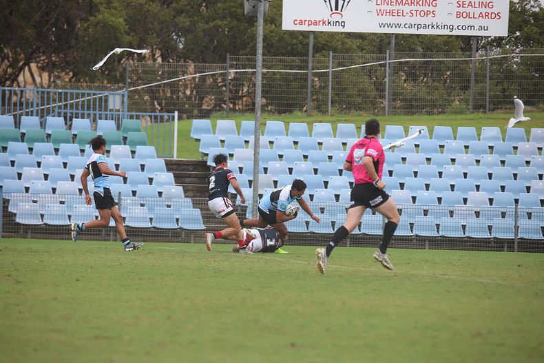 2020 SG Ball Cup – R 6 – Sharks v Roosters