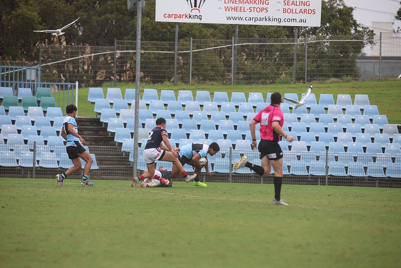 2020 SG Ball Cup – R 6 – Sharks v Roosters