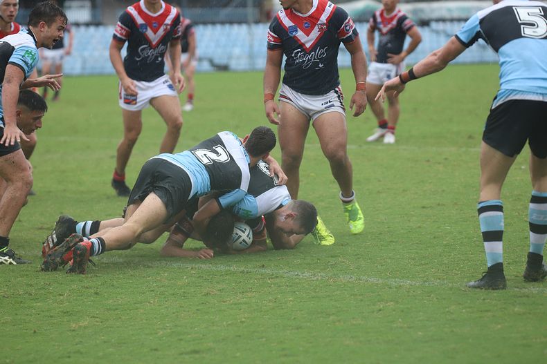 2020 SG Ball Cup – R 6 – Sharks v Roosters