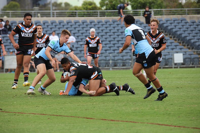 2020 Harold Matthews Cup – Rnd 3 – Magpies v Sharks