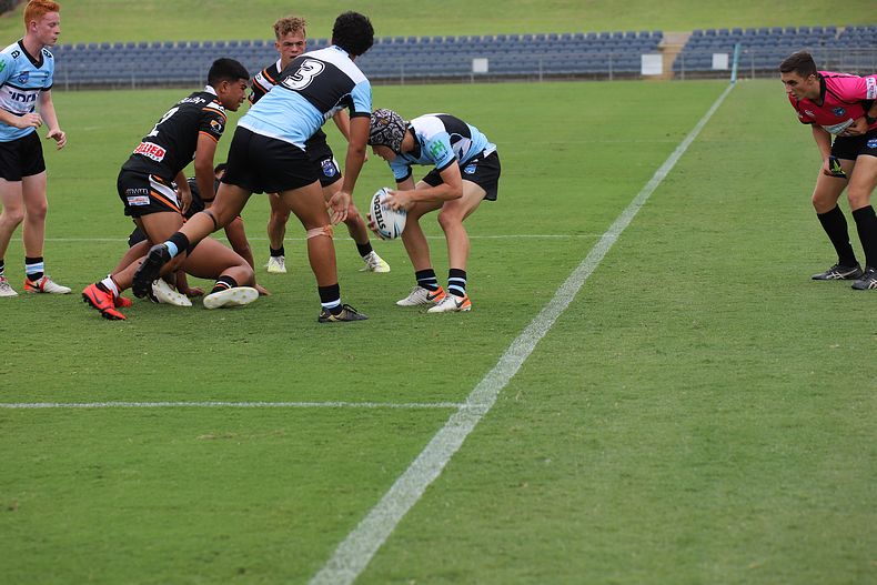 2020 Harold Matthews Cup – Rnd 3 – Magpies v Sharks