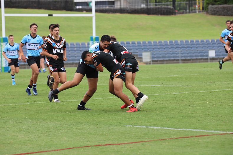2020 Harold Matthews Cup – Rnd 3 – Magpies v Sharks