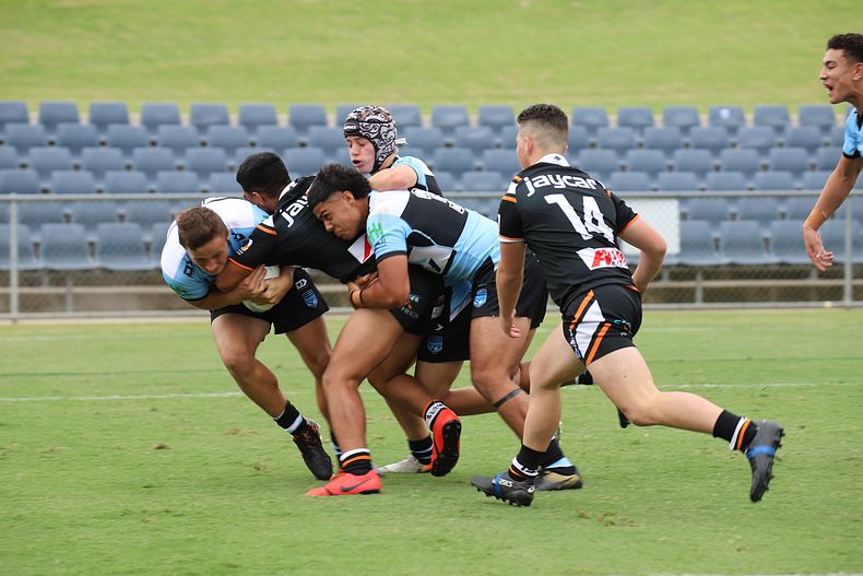 2020 Harold Matthews Cup – Rnd 3 – Magpies v Sharks