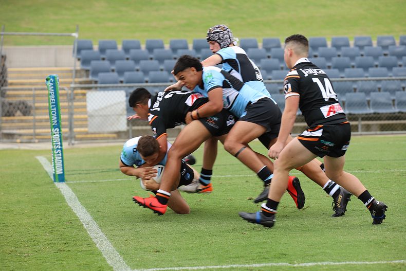 2020 Harold Matthews Cup – Rnd 3 – Magpies v Sharks