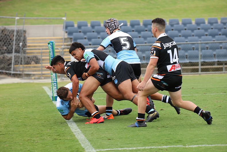 2020 Harold Matthews Cup – Rnd 3 – Magpies v Sharks