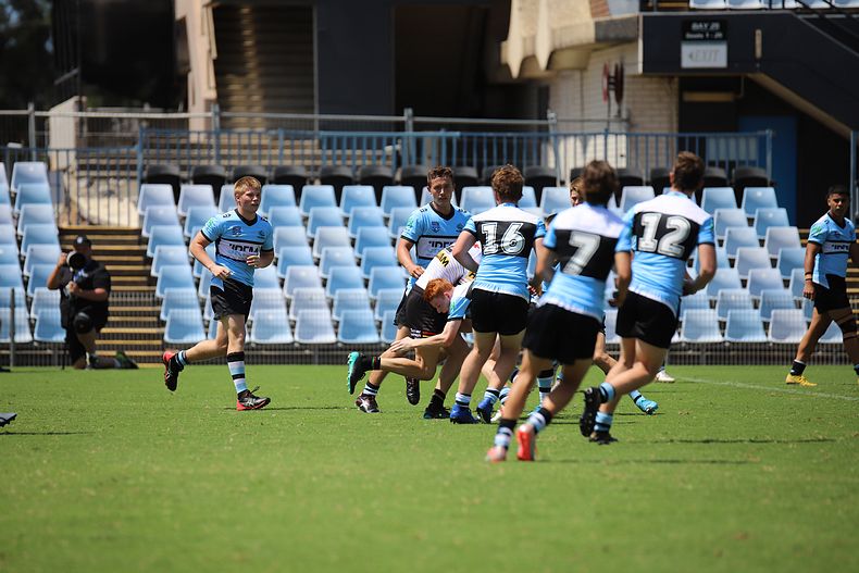 2020 Harold Matthews Cup – R 4 – Sharks v Panthers