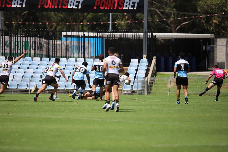 2020 Harold Matthews Cup – R 4 – Sharks v Panthers