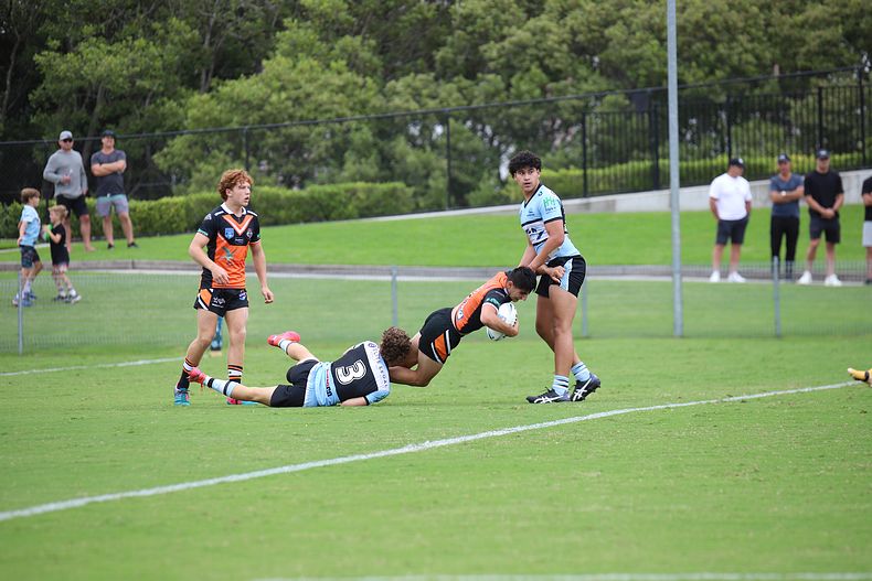 2021 Harold Matthews Cup – Rnd 4 – SHARKS v TIGERS
