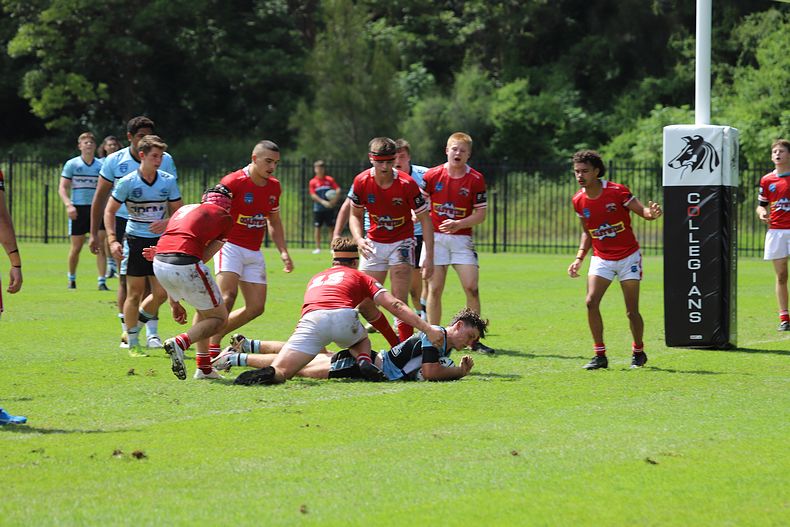 2021 HMC Rnd 6 STEELERS v SHARKS
