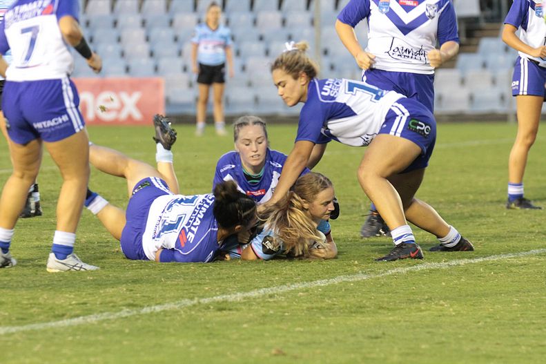 2021 Tarsha Gale Cup – Rnd 2 – SHARKS v BULLDOGS
