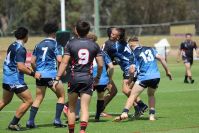Schoolboy Cup – 1/4 Final – Endeavour SHS v Illawarra SHS