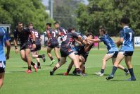 Schoolboy Cup – 1/4 Final – Endeavour SHS v Illawarra SHS