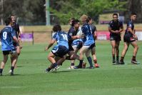 Schoolboy Cup – 1/4 Final – Endeavour SHS v Illawarra SHS