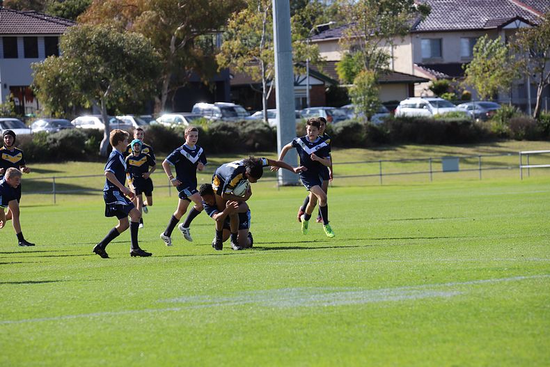2021 Buckley Shield (u14s) Westfields SHS v Matraville SHS