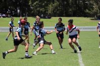 2021 Sharks Academy U16s v CC Roosters
