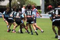 2021 Sharks Academy U16s v CC Roosters