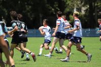 2021 Sharks Academy U16s v CC Roosters