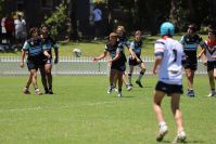 2021 Sharks Academy U16s v CC Roosters