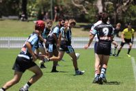 2021 Sharks Academy U16s v CC Roosters