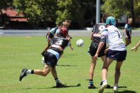2021 Sharks Academy U16s v CC Roosters