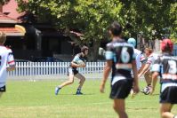 2021 Sharks Academy U16s v CC Roosters