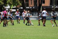 2021 Sharks Academy U16s v CC Roosters