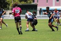 2021 Sharks Academy U16s v CC Roosters