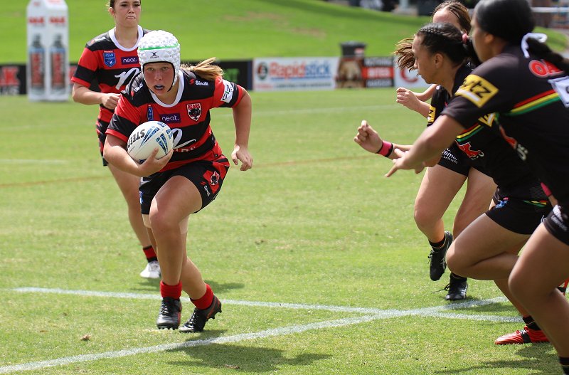 TG Cup Round 7 2023: Bears v Steelers - North Sydney Bears