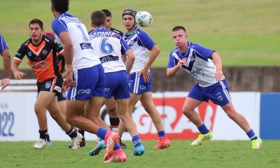 Canterbury-Bankstown Bulldogs junior reps Rnd 3 wrap (Photo : Steve Montgomery)