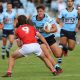 Sharks Mattys Cup start season with a good win over the Steelrs at home Photo : Steve Montgomery)