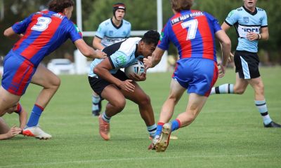 Junior Reps kicks off with next generation Blues (Photo : Steve Montgomery)