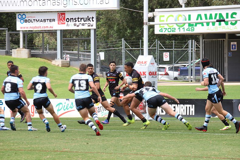 2022 Harold Matthews Cup – Rnd 2 – Panthers v Sharks