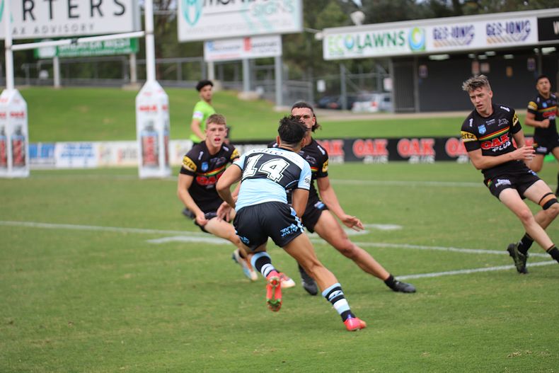 2022 Harold Matthews Cup – Rnd 2 – Panthers v Sharks
