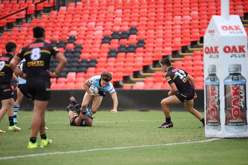 2022 Harold Matthews Cup – Rnd 2 – Panthers v Sharks