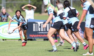 Sharks Tarsha Gale girls break drought in beating the Bears (Photo : Steve Montgomery)