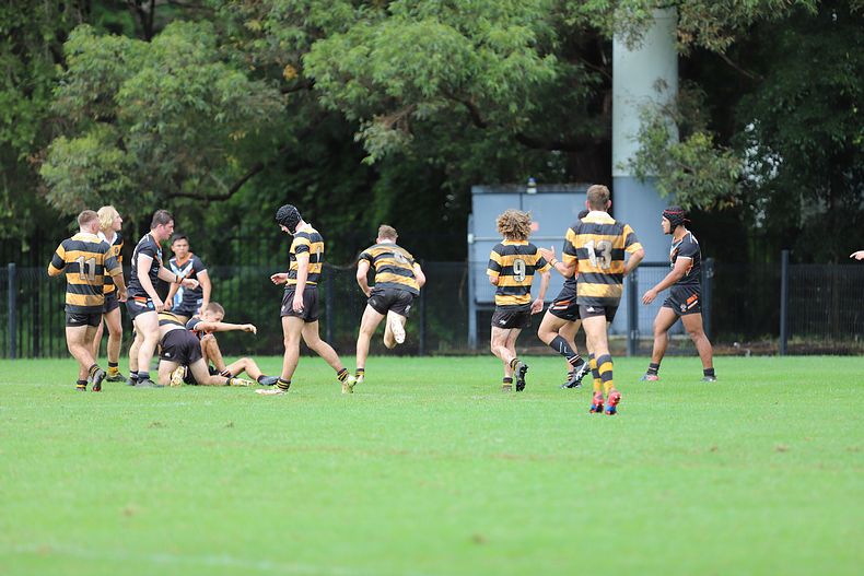 Andrew Johns Cup Semi Final NR TIGERS v M WESTS TIGERS