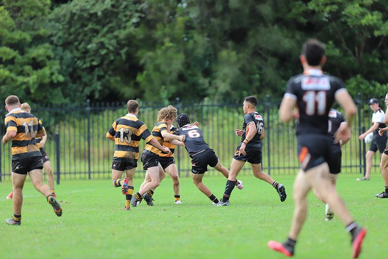 Andrew Johns Cup Semi Final NR TIGERS v M WESTS TIGERS